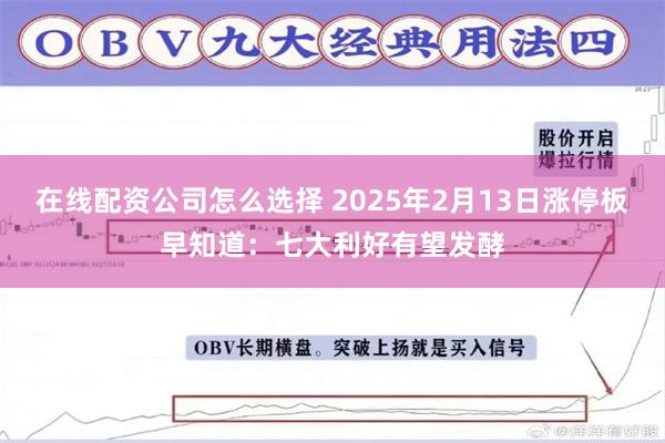 在线配资公司怎么选择 2025年2月13日涨停板早知道：七大利好有望发酵