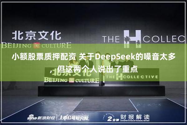 小额股票质押配资 关于DeepSeek的噪音太多，但这两个人说出了重点