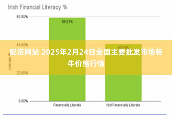 配资网站 2025年2月24日全国主要批发市场牦牛价格行情