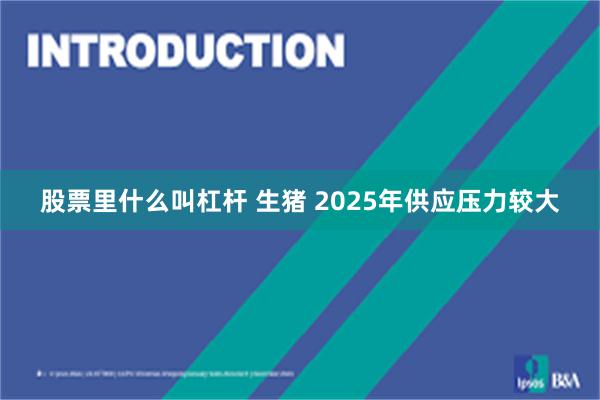 股票里什么叫杠杆 生猪 2025年供应压力较大